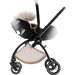 Britax RIO Teak